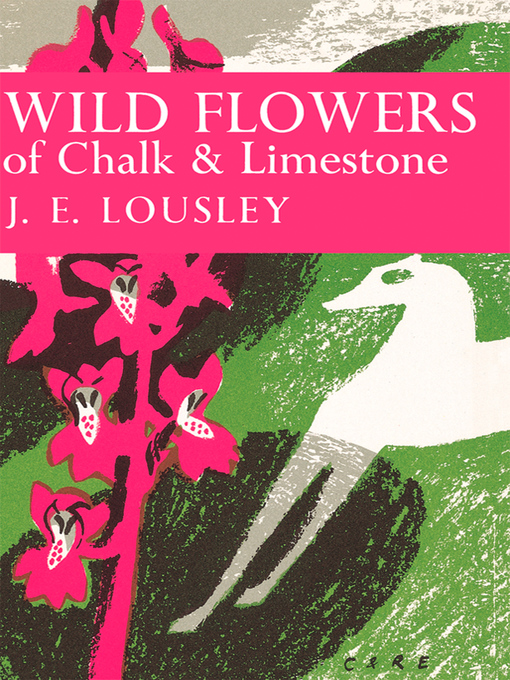 Upplýsingar um Wild Flowers of Chalk and Limestone eftir J. E. Lousley - Biðlisti
